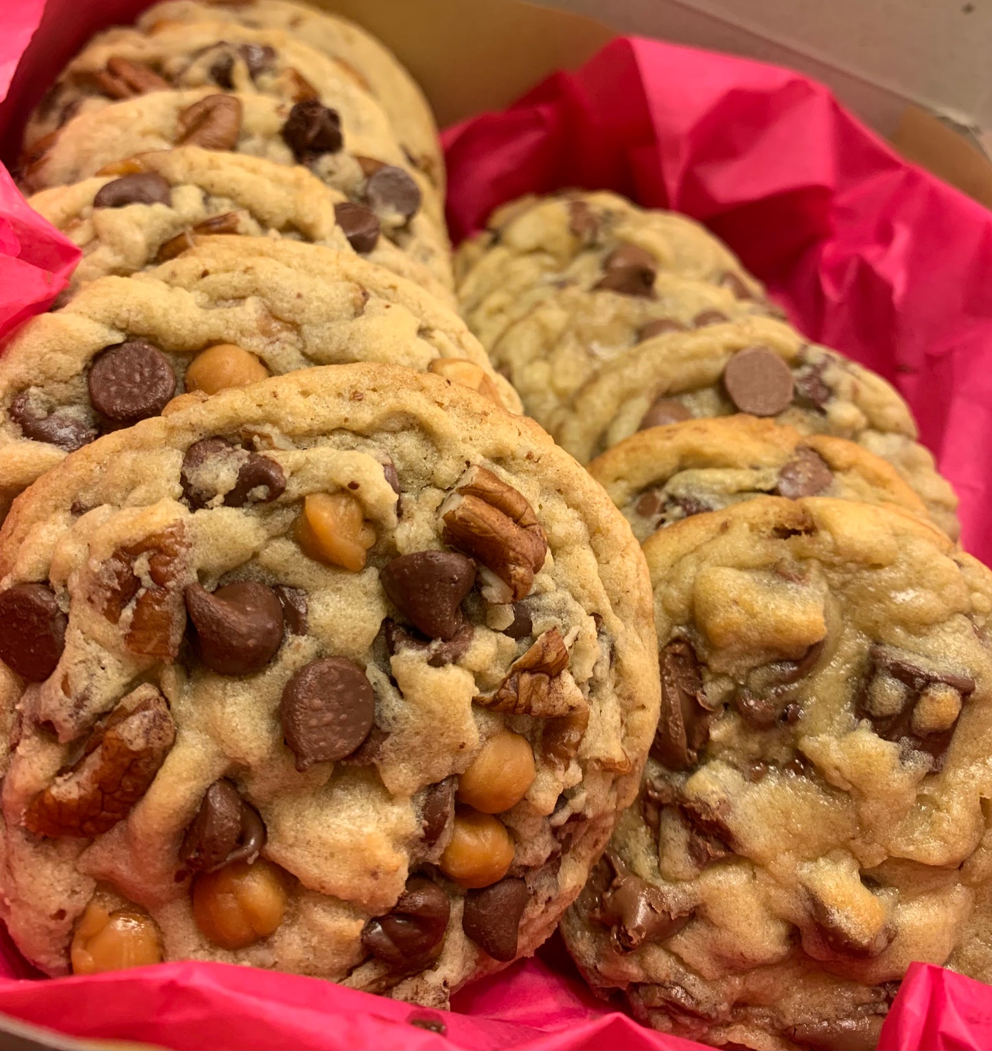 Turtle Chocolate Chip Cookie